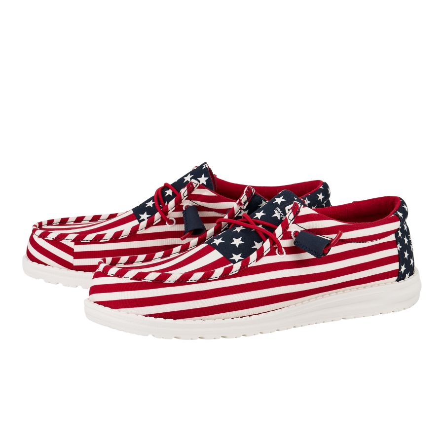 Wally Americana - American Flag - Image 3